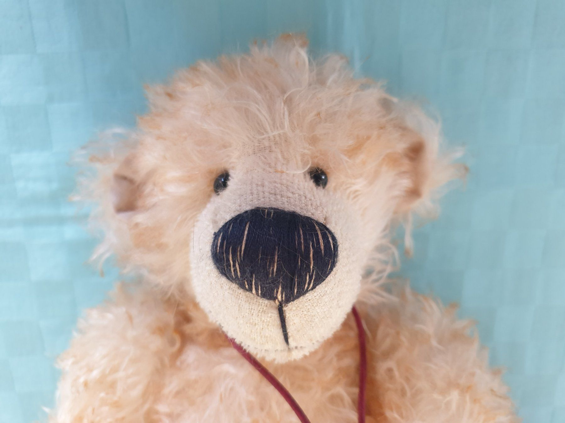 Giocattoli: Teddybär Teddy Be's Hombi Bären Sugar – Usato da Mörschwil venduto da spirspi 1