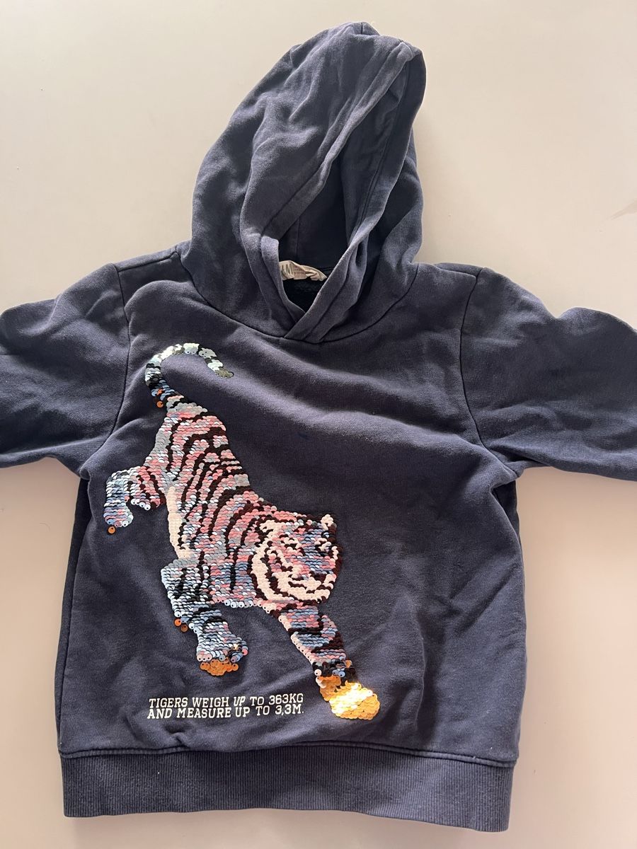 H&M Maglioni & Felpe: Tiger Pullover 110-116 H&M – Usato da Neuchâtel venduto da Debelibo 1