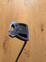 TaylorMade Spider X Putter