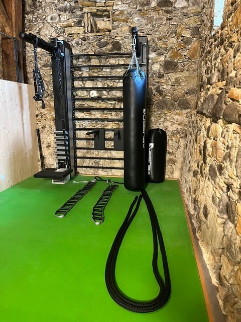 Hometrainer: Functional Training Station Queenax W175 – Usato da Glattfelden venduto da tho_sbf9