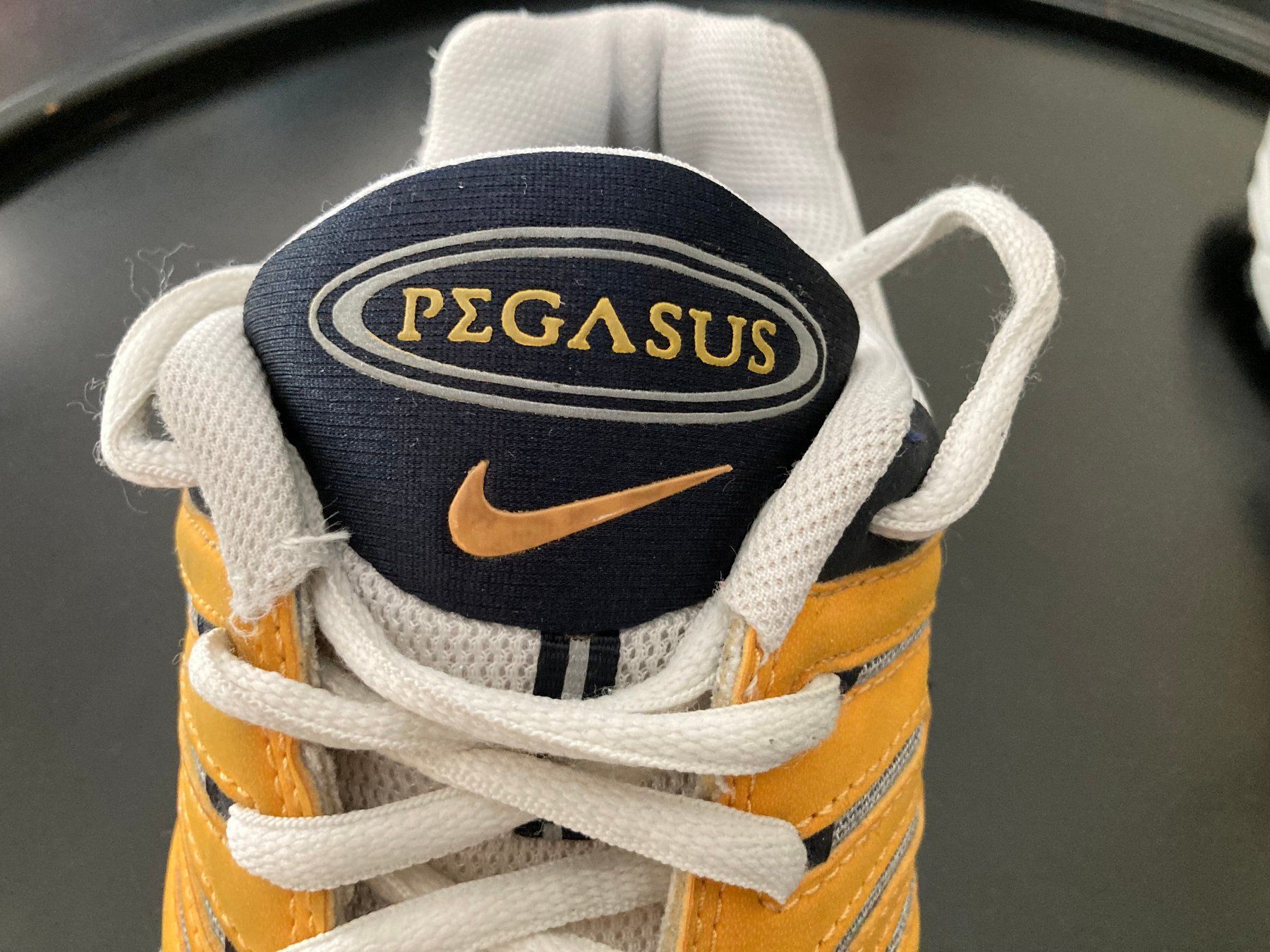 Nike Chaussures hommes: Nike Air "Pegasus" 42.5 – Neuf (Voir description) à Neftenbach par Janusch01 4