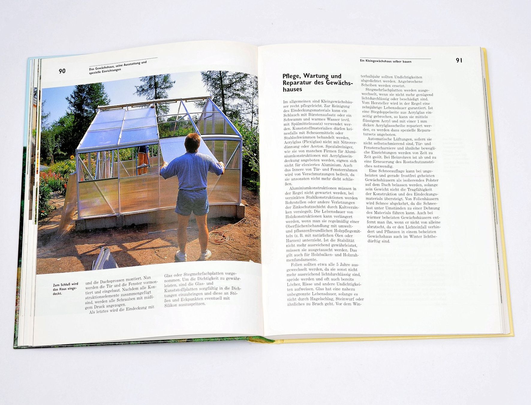 Libri: Das Kleingewächshaus Technik und Nutzung Garten Gewächshaus – Usato da Gränichen venduto da Zuckerhut45 4