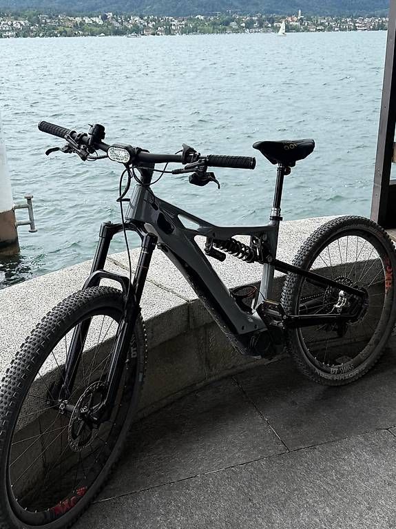 Biciclette: Elektro Velo Limited Edition – Usato da Horgen venduto da gia_7xxj
