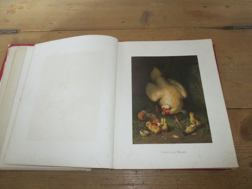 Livres: Deutsches Künstler-Album 1874 – Défectueux à Flims - Dorf par Stagediver 4