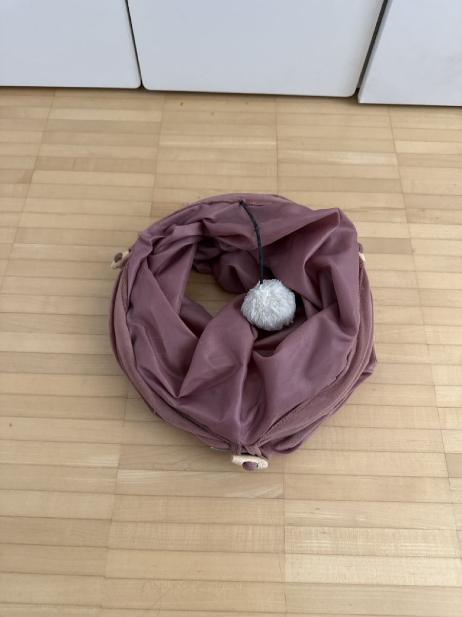 Tiragraffi: Cat Bundle: Scratch Post, Litter Box, Toys - Great Deal! – Usato da Aesch BL venduto da 133_kiky 7