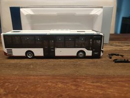 Rietze Lions Intercity