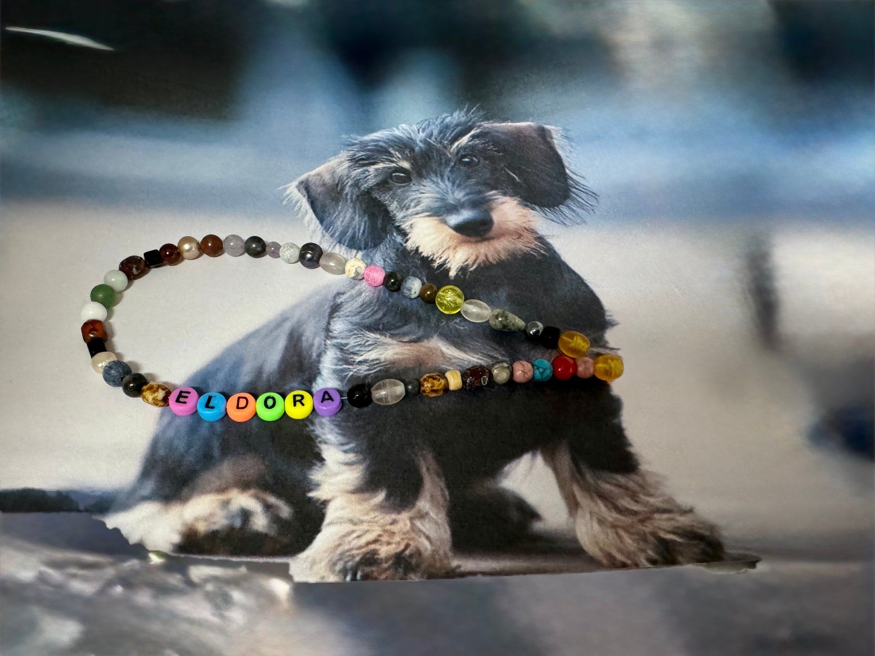 Ketten: Hundehalskette mit Ihrem Wunschname – Neu (gemäss Beschreibung) aus Biberist von tl-schmuck