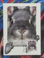 CL26 4x Carte Postale + Timbre Suisse 2019