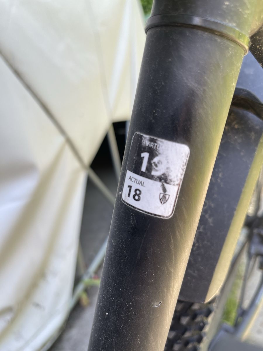 Trek Biciclette: Trek Powerfly Ebike Grösse L – Difettoso da Beinwil am See venduto da mariohoerner 8