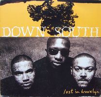 Down South ‎– Lost In Brooklyn (2LP White)