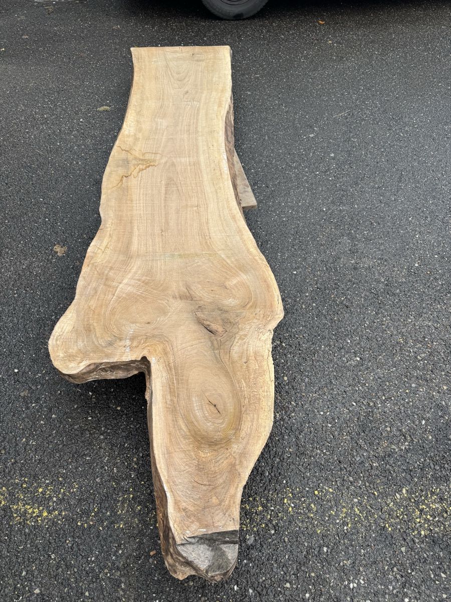 Articoli in legno: Nussbaum Klotzbrett 280  cm lang! – Usato da Gränichen venduto da onkel_xxl 7