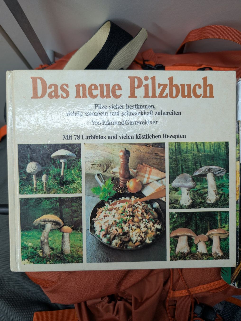 Libri: 3 alte Pilzbücher – Usato da Wynau venduto da Zebrafurz 1