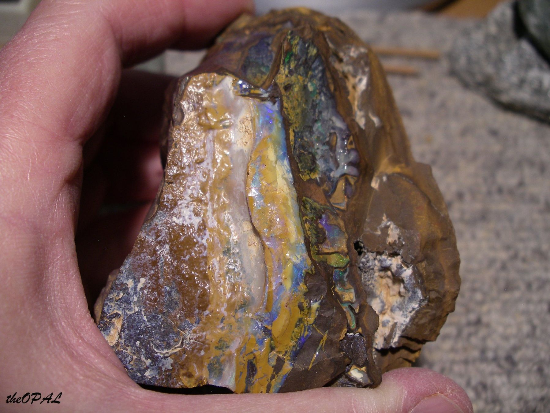 Minéraux & Lithothérapie: theOPAL*** GROSSER ROHER BOULDER MATRIX NUSS OPAL 2540ct *** – Neuf avec emballage d'origine à Ebnat-Kappel par theOPAL 2