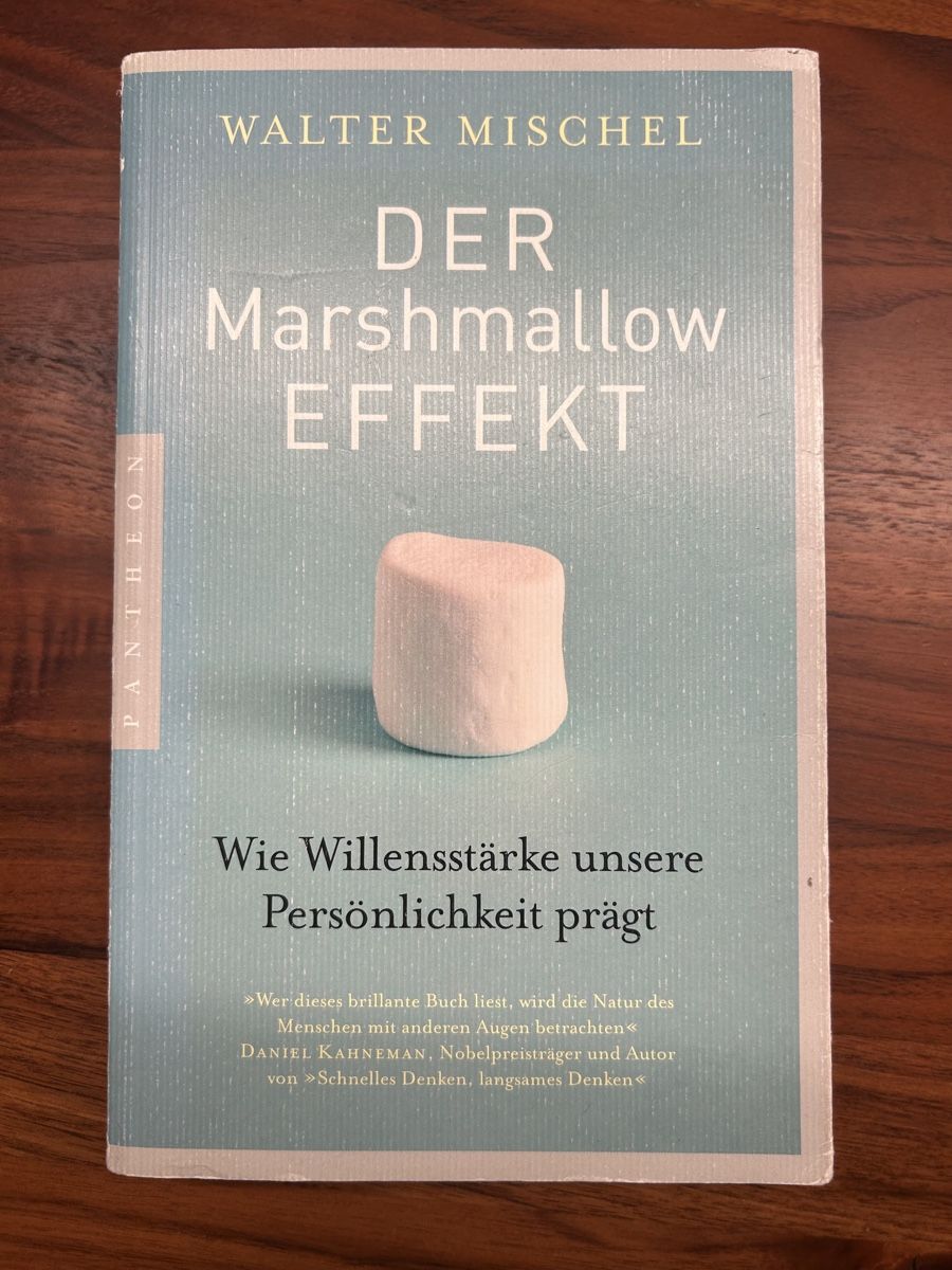 Livres: Buch Der Marshmallow Effekt – Neuf (Voir description) à Dübendorf par mimamedusa