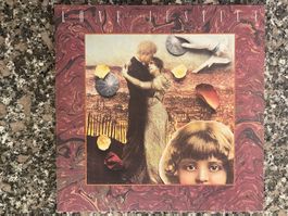 A57/Lone Justice - Shelter