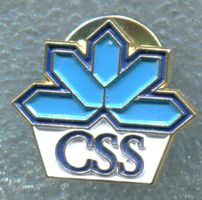 CSS  Logo