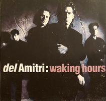 del Amitri CD waking hours