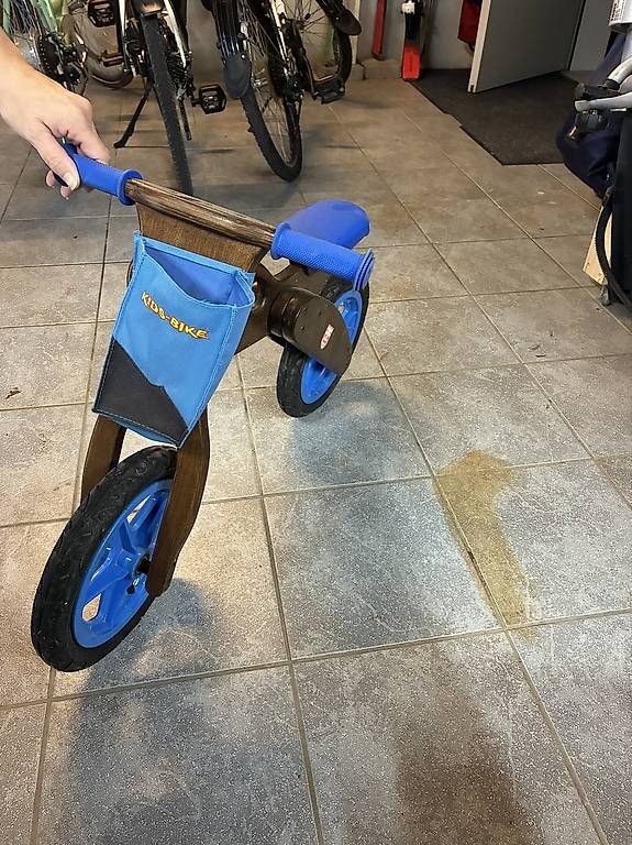 Fahrzeuge für Kinder: Laufrad – Gebraucht aus Greppen von chr_22d9 1