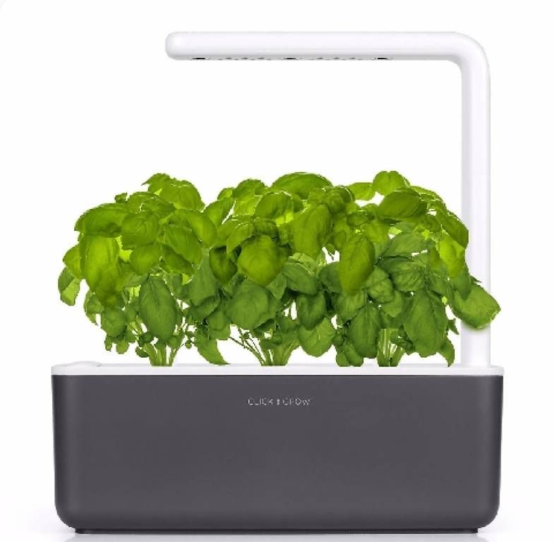 Vasi per fiori: Smart Garden – Usato da Bern venduto da Giuliobald 1