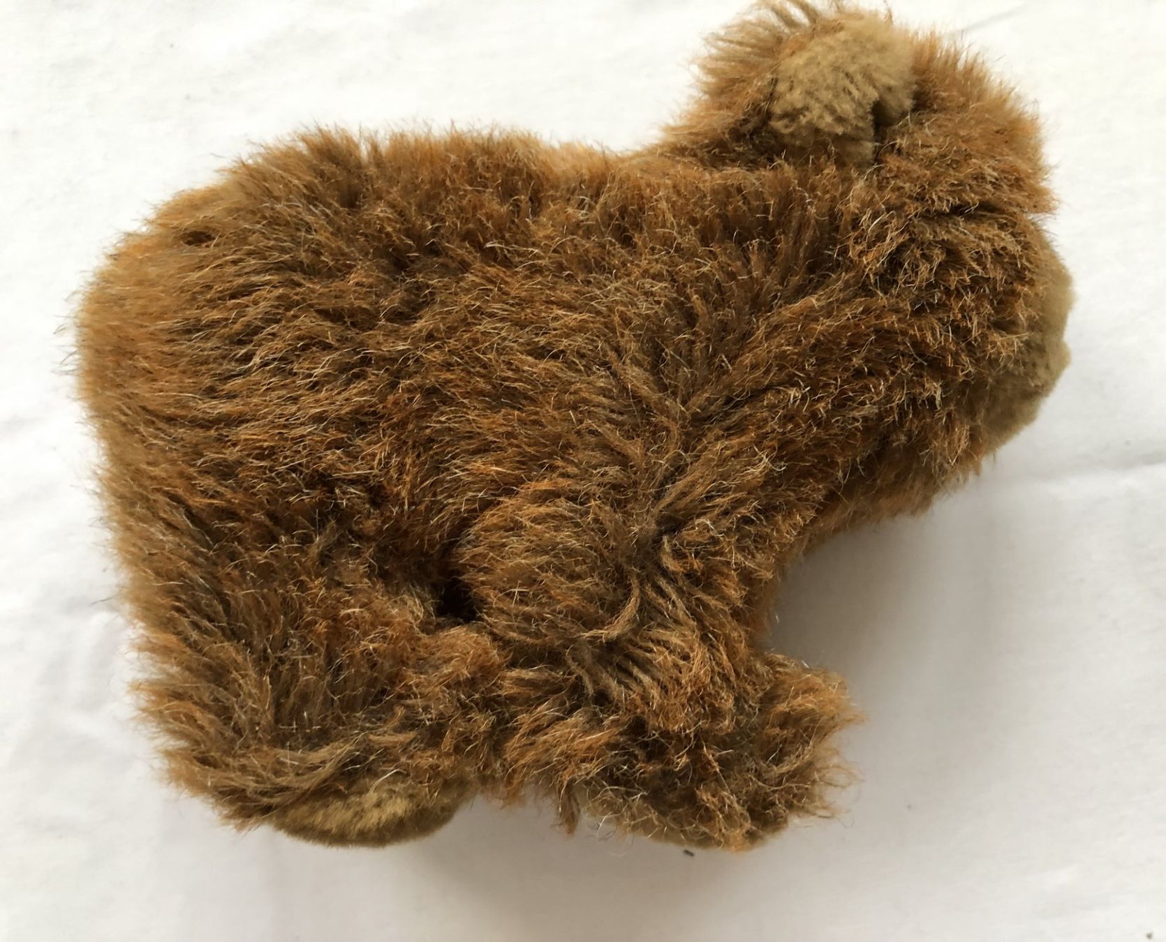 Steiff Giocattoli: Steiff - Plüschtier - Bär "Urs" - Nr.069628 – Usato da Schaffhausen venduto da durruti 1