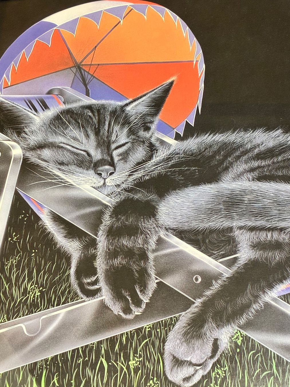 Posters & Illustrations: Katzenbild gerahmt – D'occasion à Horw par adler65 2