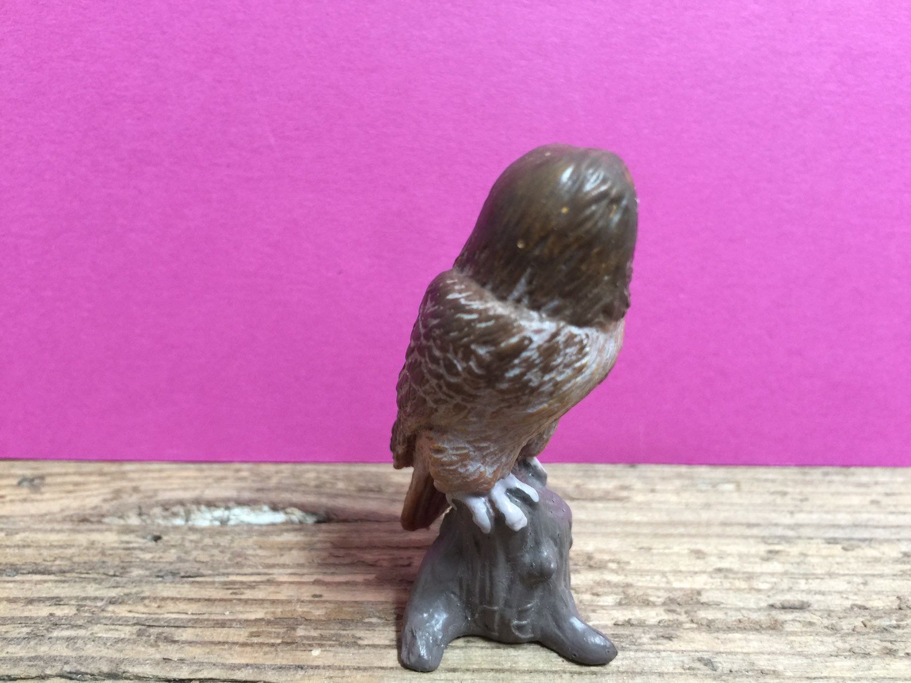Schleich Figuren: Schleich 14238 - Waldkauz Eule Vogel – Gebraucht aus Ennetbaden von mapa05 1