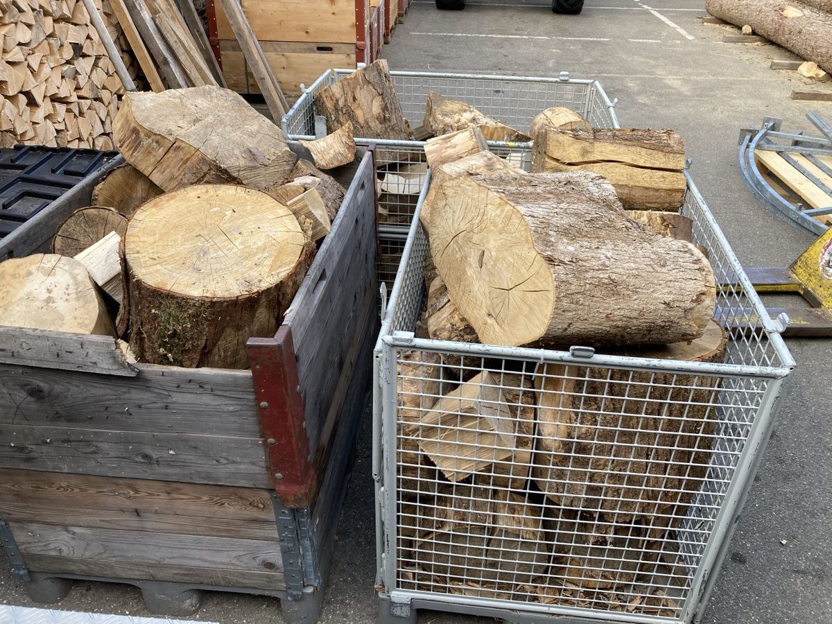 Articoli in legno: Brennholz Esche Abschnittholz – Nuovo (secondo la descrizione) da Vordemwald venduto da deutz4507 2
