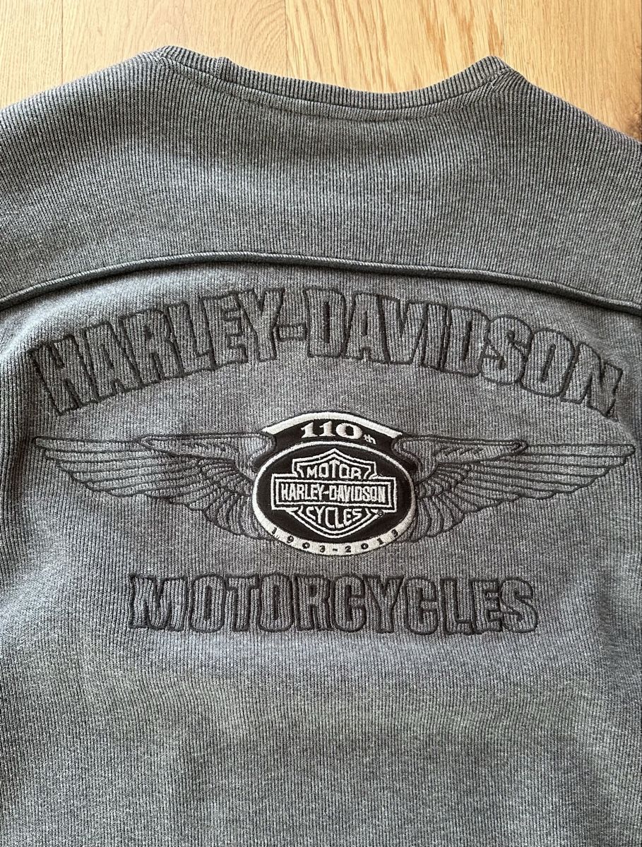 Maglioni & Felpe: Harley-Davidson 110th Anniversary Pullover grau Grösse M – Usato da Landschlacht venduto da KeyWest09 3