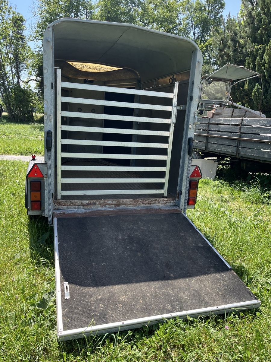 Ifor Rimorchi: Viehanhänger – Usato da Schluein venduto da Pitsch79 3
