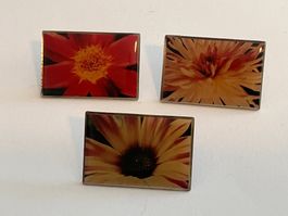 3 Pin Blumen Gartencenter Wyss
