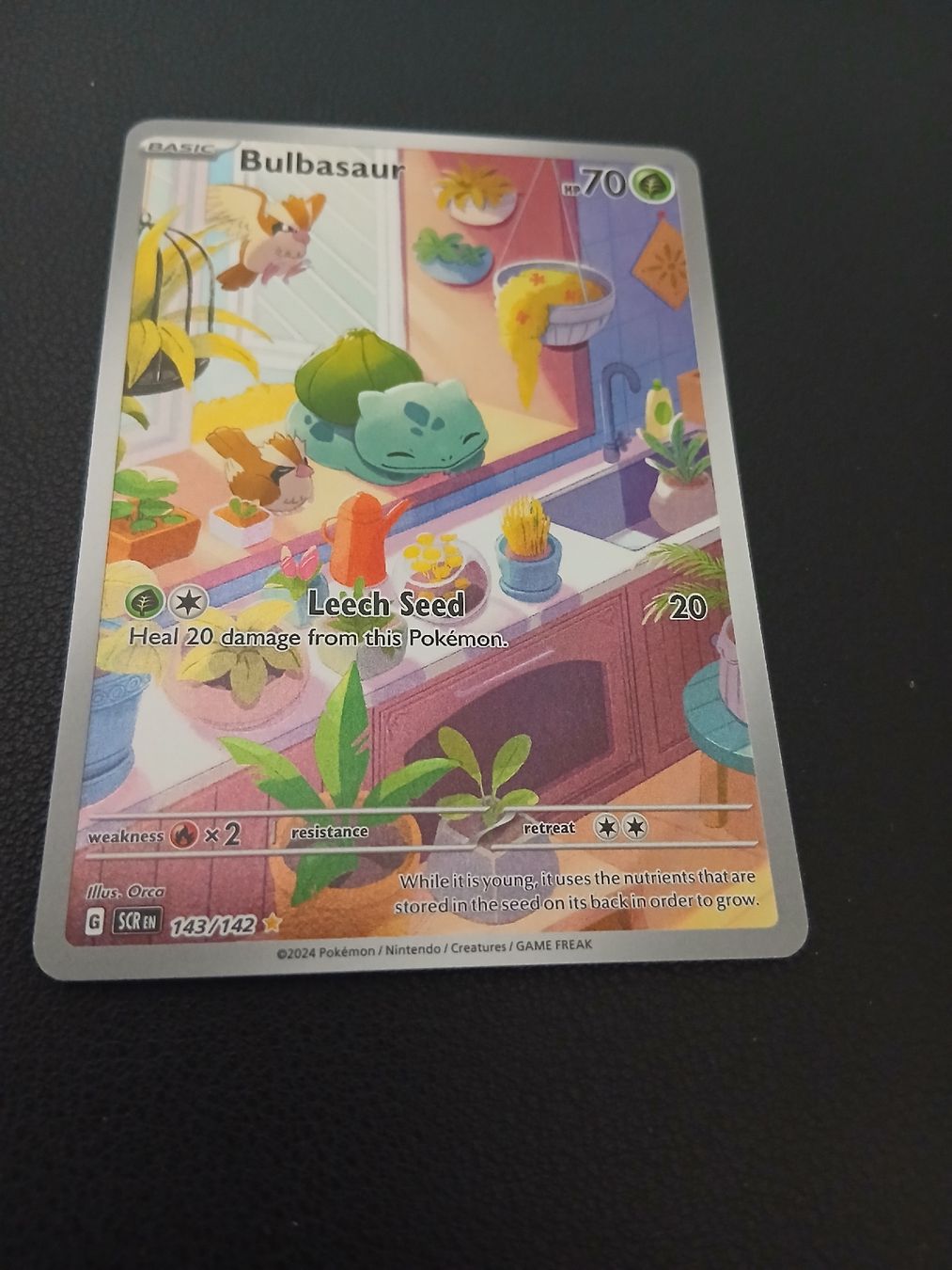 Pokémon Cartes à collectionner: Bulbasaur Pokémon Englisch – Neuf (Voir description) à Regensdorf par Baba_Basar 1