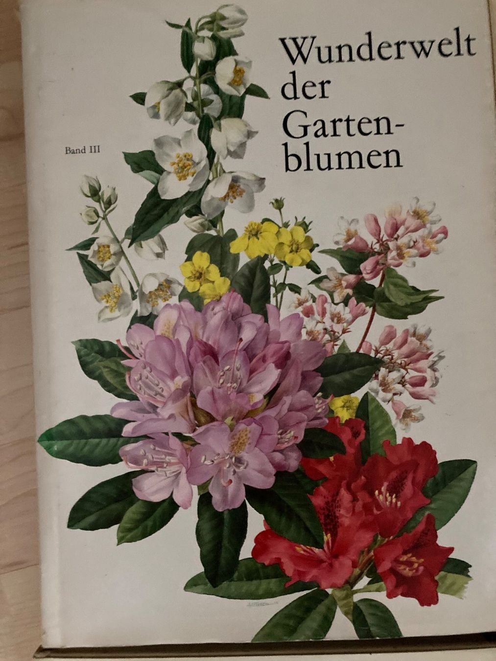 Libri: Blumenbücher, Orchideen, Gartenblumen, Bergblumen – Usato da Oberlunkhofen venduto da Martab 1