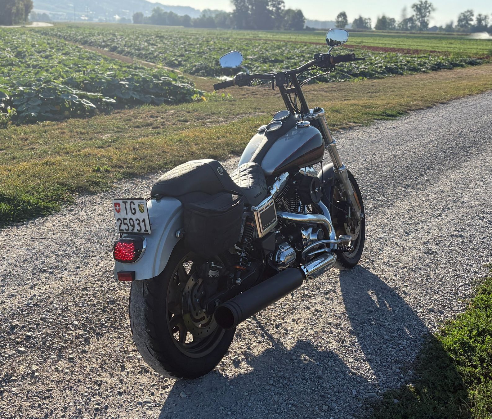 Harley-Davidson Chopper: Harley Dyna Lowrider RS – Usato da Münchwilen TG venduto da VeniceBeach02 1