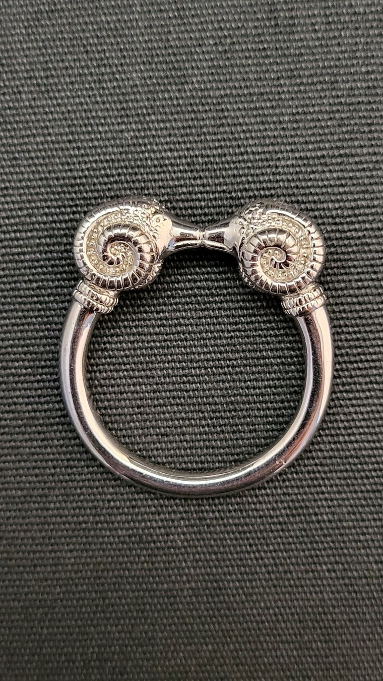 Anhänger: Silber-Anhänger/-Brosche mit Widder-Köpfen – Gebraucht aus Basel von spinne02