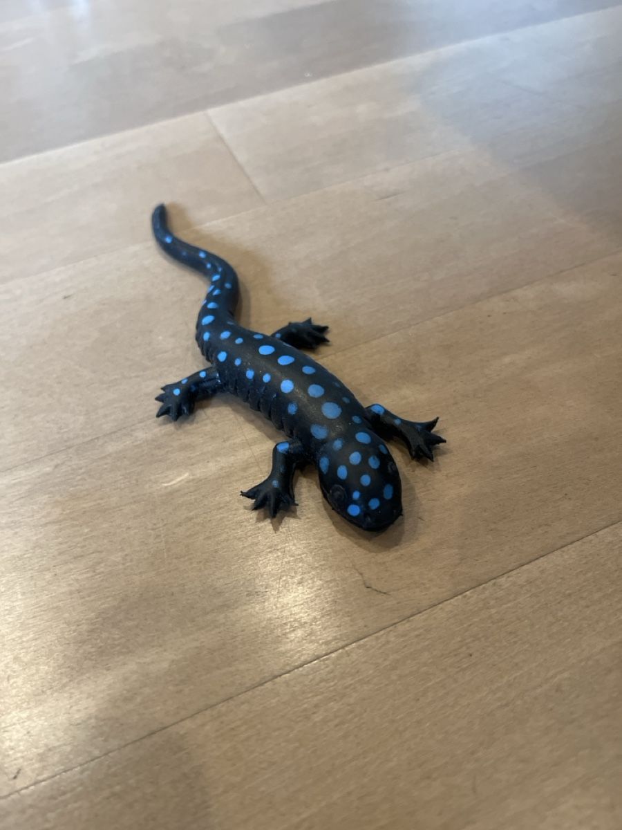 Spielzeuge: Ein blauer Feuersalamander – Neu (gemäss Beschreibung) aus Bern von Kanu21