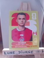 Carte Panini world cup 2026 NIKO SIGUR CAN16