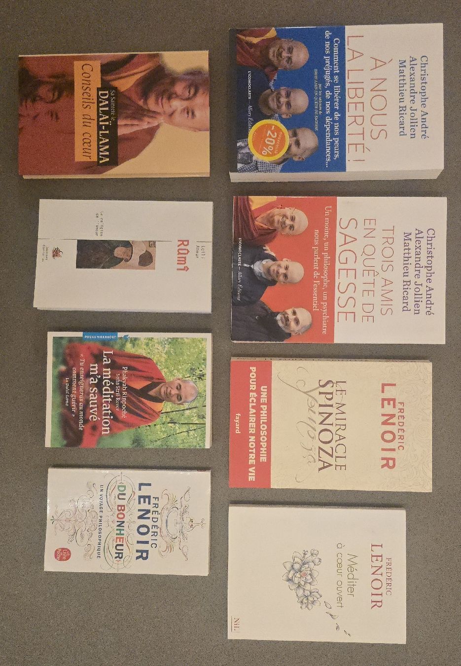 Libri: 8 livres "spirituel" – Usato da Lausanne venduto da Jo_Jack 1