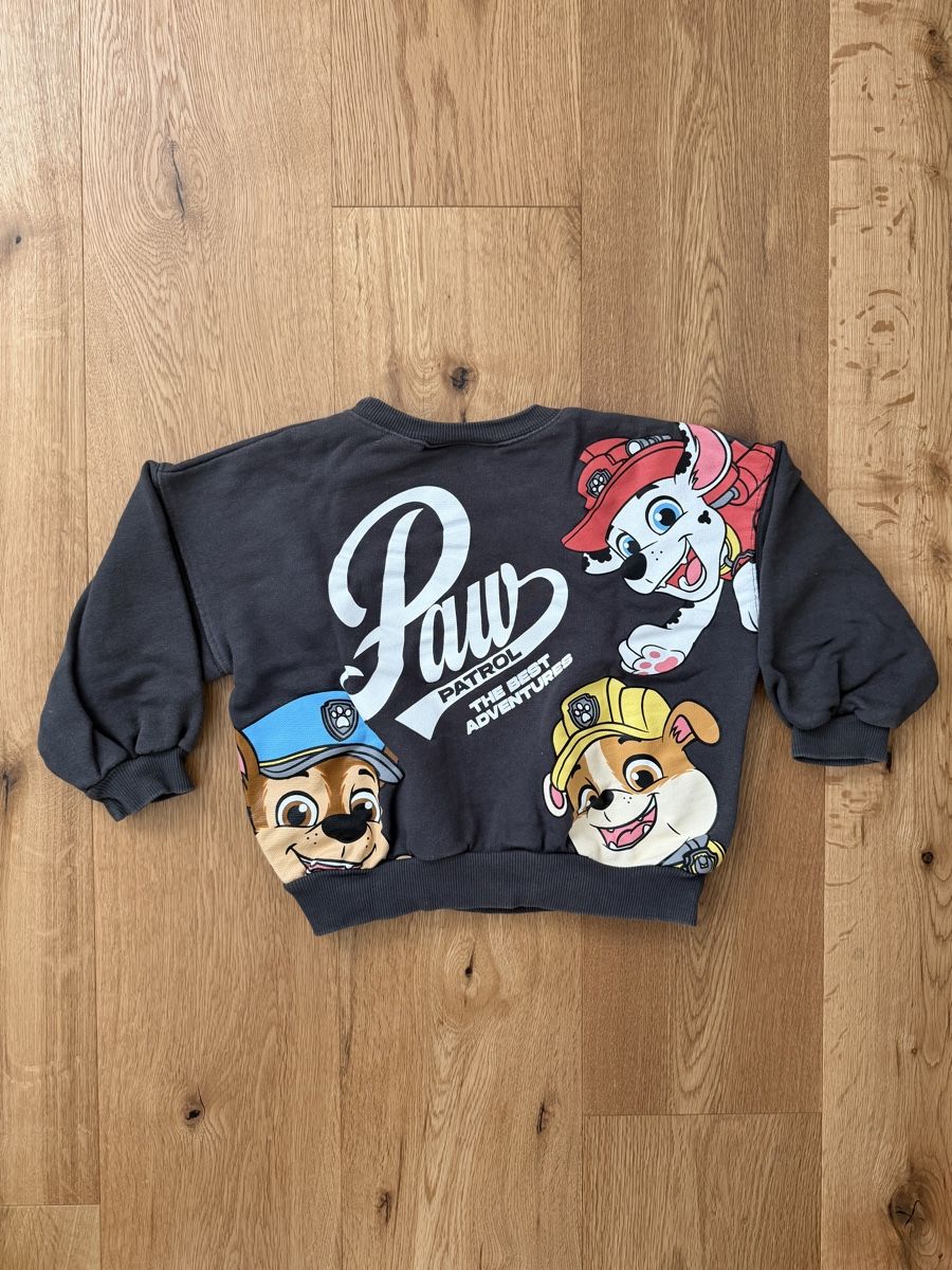 Zara Pullover & Sweatshirts: Zara Kids - Pullover, Gr. 116  – Gebraucht aus Interlaken von fbnscl 2