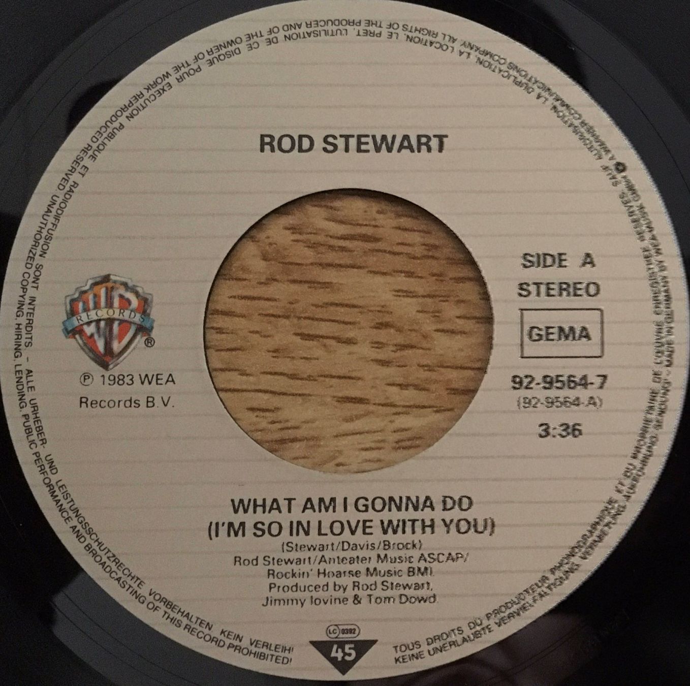 Dischi in vinile: ROD STEWART - WHAT AM I GONNA DO – Usato da Bussigny venduto da vinyl-pas-cher 2