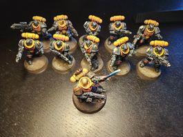 Warhammer 40K - Space Marine Pro Painted