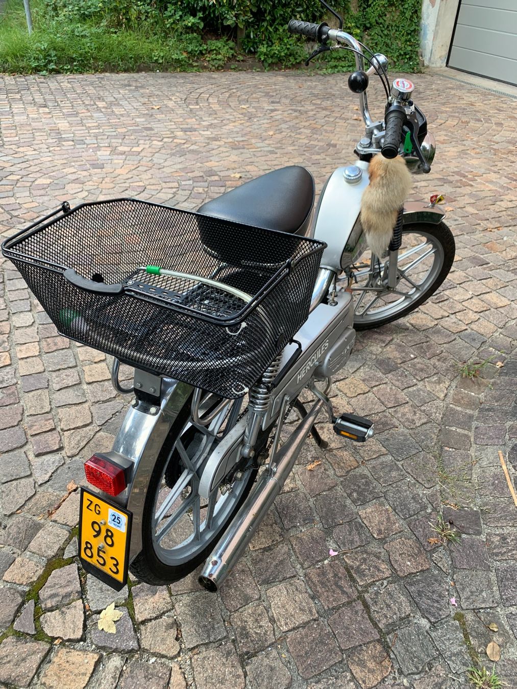 Sachs Cyclomoteurs: Mofa – D'occasion à Cham par Jakobus1 4