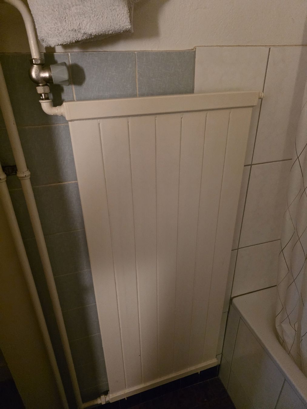 Heizgeräte: Radiator white 120x50cm used – Gebraucht aus Zweisimmen von jun_9mrz 1