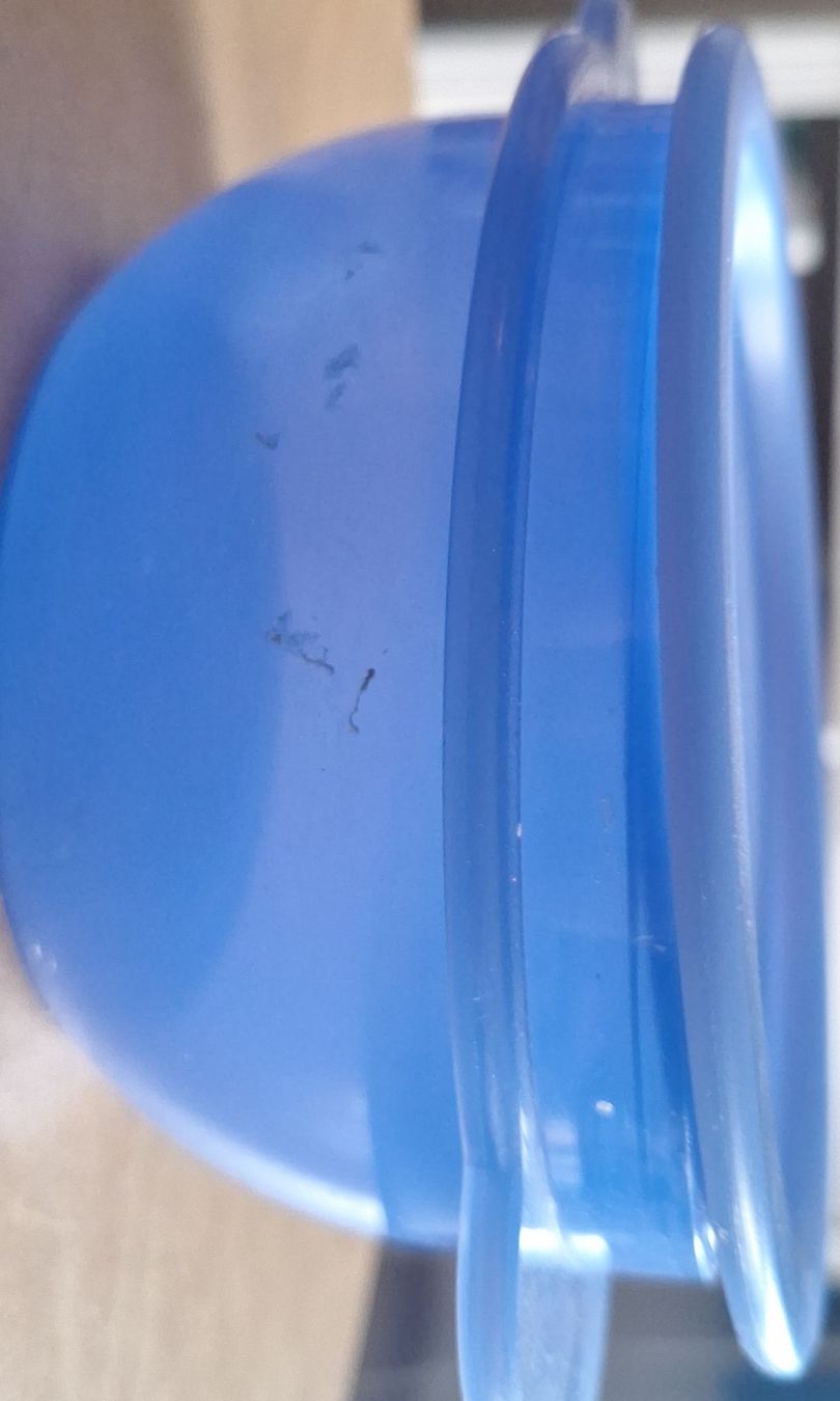 Tupperware Contenitori & Simili: Praktische blaue Frischhaltedose. – Usato da Matten b. Interl venduto da Daeni_2000