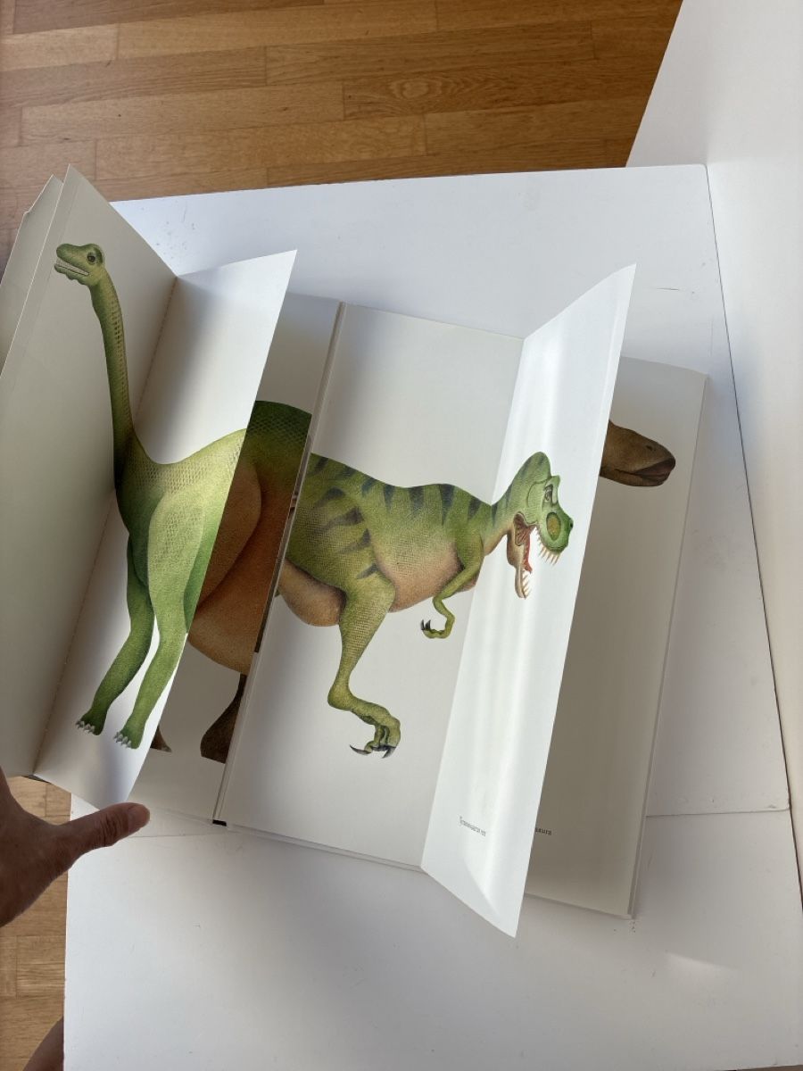 Libri: Dinosaur Picture Book – Usato da Lucens venduto da metaD 3