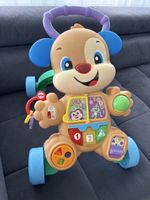 Lauflernhilfe Fisher Price Hund 