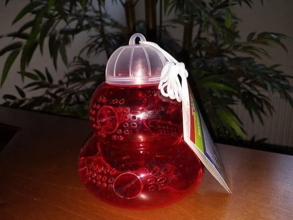 Tutte le decorazioni: 4 Stück Wespenfalle  / NEU – Nuovo e nell'imballaggio originale da Arth venduto da 100i 2