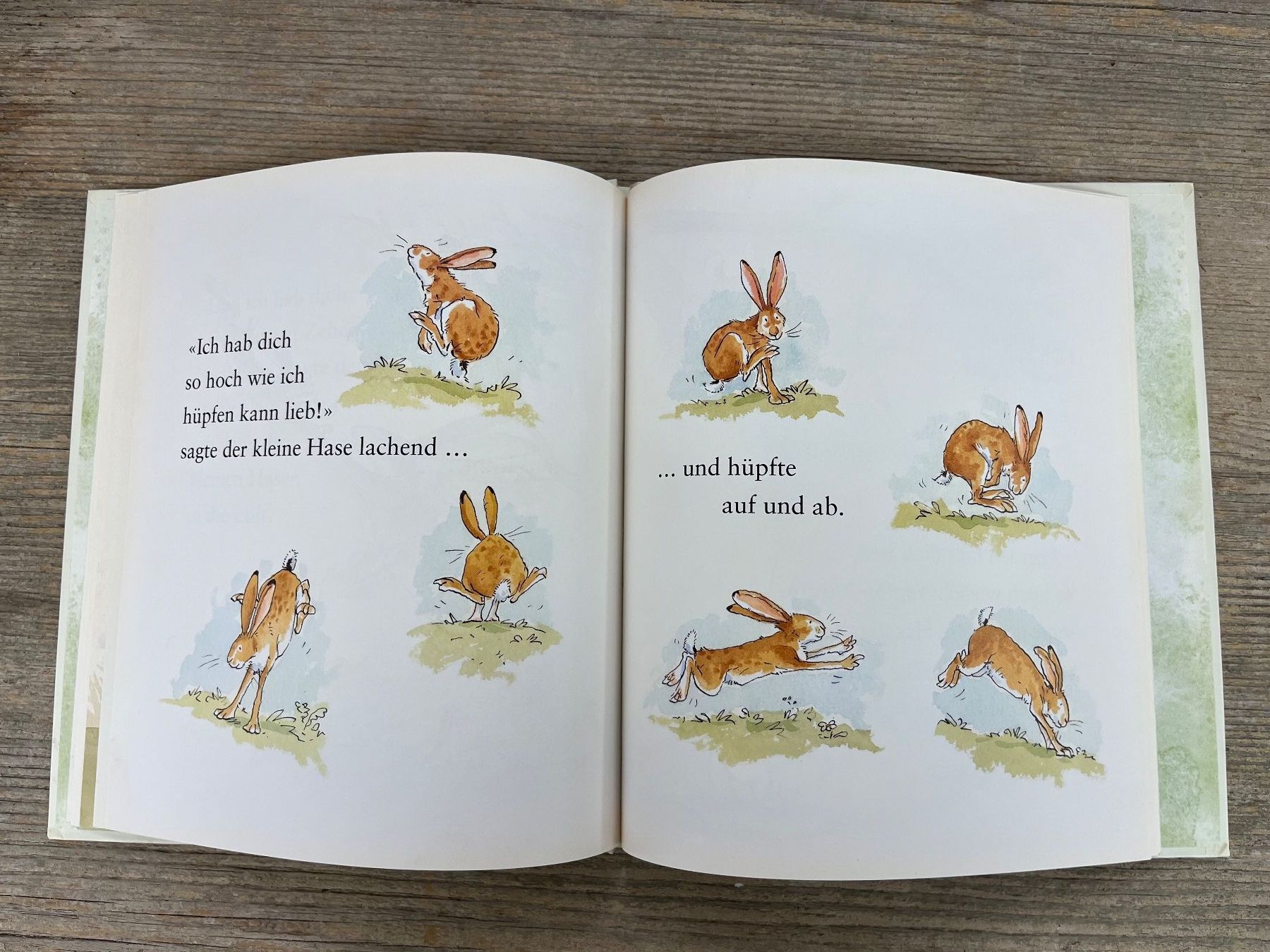 Libri: Weisst du eigentlich, wie lieb ich dich hab? Copyright 1994 – Usato da Pfäffikon ZH venduto da buresi 6