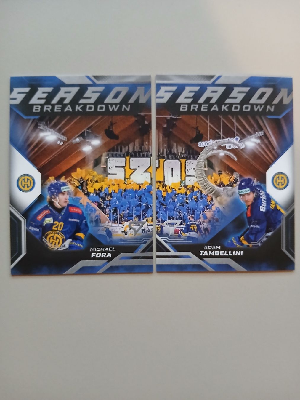 Sportzoo Carte collezionabili: Eishockey Karten "Season Breakdown" Davos – Nuovo (secondo la descrizione) da Düdingen venduto da oliheimo92