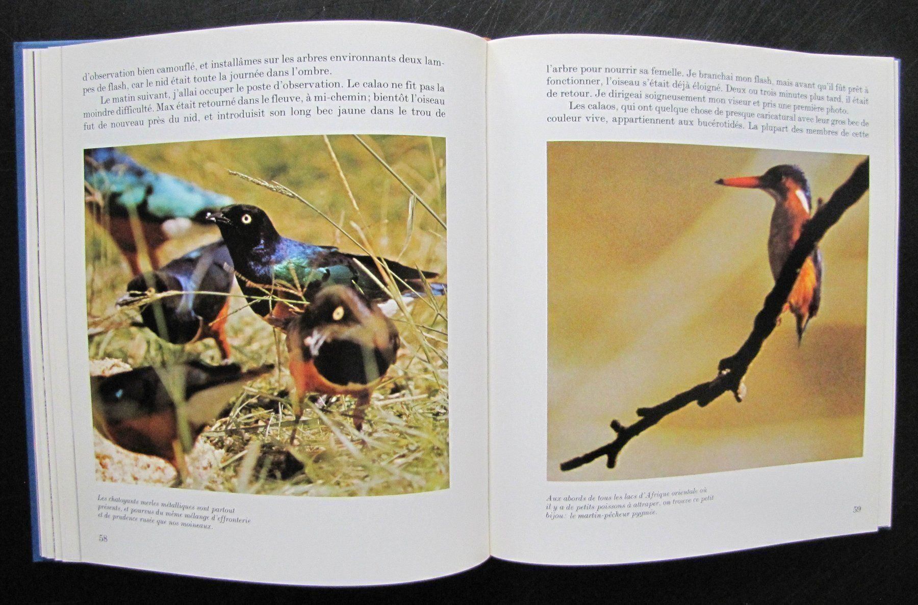 Libri: Oiseaux des terres lointaines. Ed Mondo – Usato da Genève venduto da Brindisina2019 6