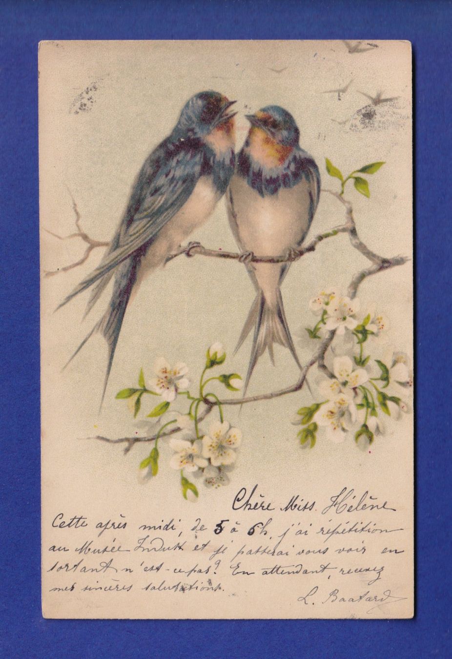 Ansichtskarten: OISEAU - Hirondelle – Gebraucht aus Pully von nicecards-shop